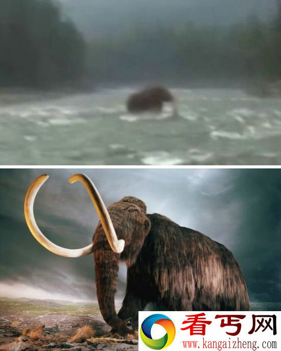 \