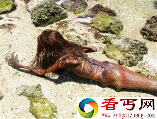 人类曾两次捉到真正美人鱼?3000年人鱼木乃伊被发现