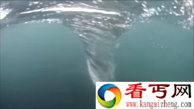 男子为拍摄强大海洋漩涡跳进海里,被之后的一幕惊吓到了!