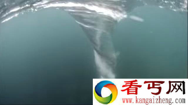 男子为拍摄强大海洋漩涡跳进海里,被之后的一幕惊吓到了!