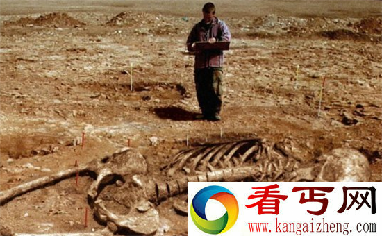 外星人或已降临地球 人类祖先究竟是谁?