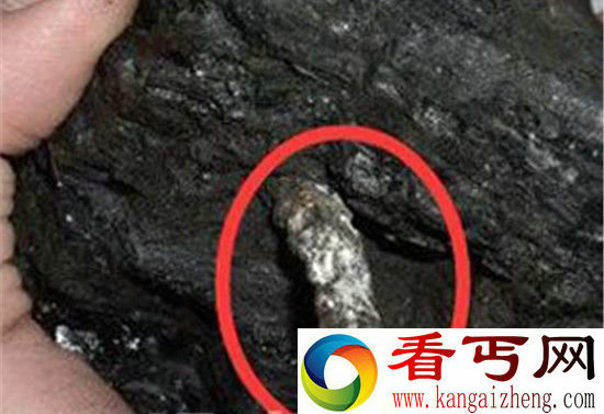 外星人亿万年前拜访地球 遗留神秘物证曝光