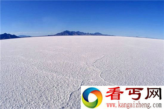 地球上最能证明外星生命存在的证据