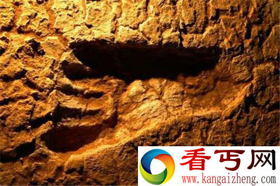 300万年前远古脚印 或是外星人所留?