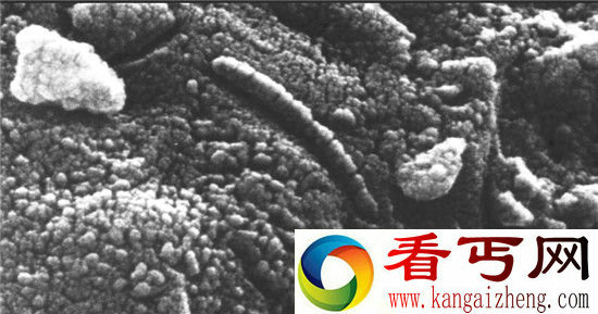 外星生命都藏在哪里?科学家列举十大可能