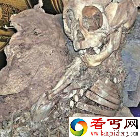 秘鲁惊现外星人婴儿头骨 竟有惊人50厘米长!