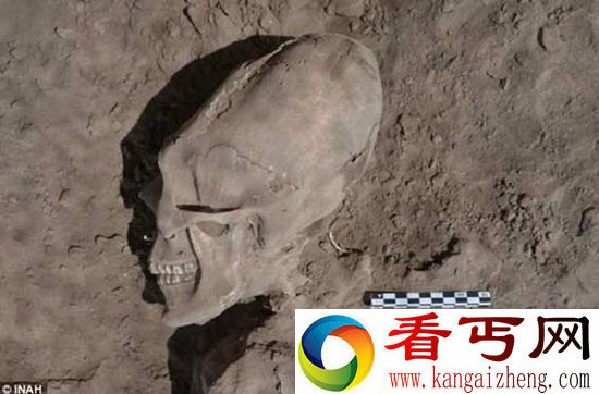 秘鲁惊现外星人婴儿头骨 竟有惊人50厘米长!
