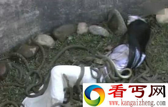 古代十大酷刑之虿盆用活人喂食毒虫