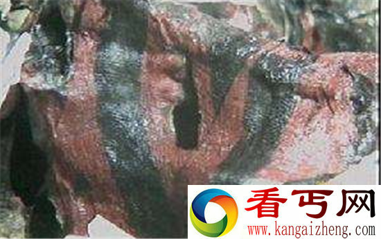 朱元璋墓竟然葬在水里 李自成为何拼命要毁掉水下古墓?