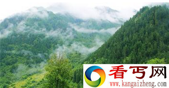千年古墓现八卦图 诸葛亮后人被困遇僵尸