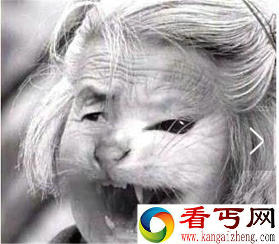 哈尔滨猫脸老太太事件曾触动高层领导重视?亲历者还原真相