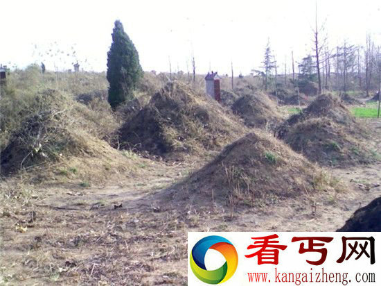 僵尸重生之后寻找千年古墓活女尸当新娘
