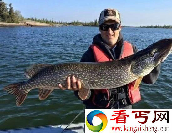 男子出海钓鱼 竟钓到了怪物惊呆了!