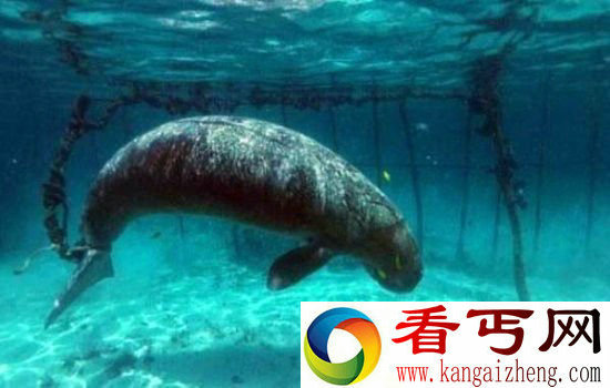 男子发现了这一幕,被彻底震惊了!