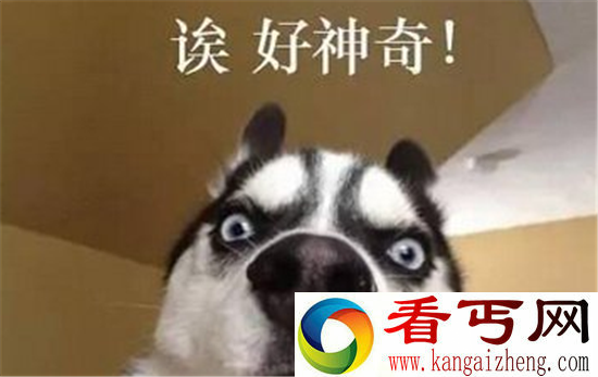 百度黑洞特效被玩坏 为什么百度黑洞有特效?