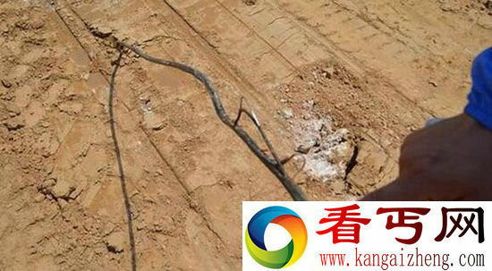 司机压断电线被拘导致新郑市所有联通信号瘫痪
