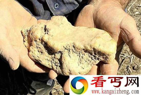 澳洲男子野外挖出8斤金块