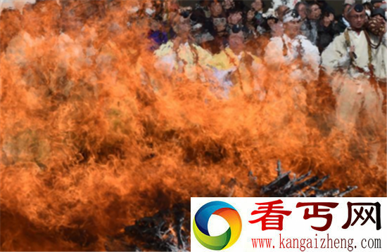 日本举行渡火节 僧侣跳进火坑能净化心灵吗?