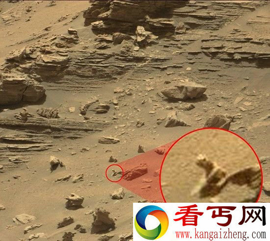 火星上发现爬行动物遗骸 有生命存在?