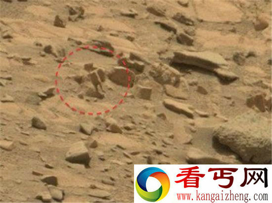 近日,NASA勇气号卫星发回一组照片,就在天文学家们都认为这只是一组普通照片时,一名业余天文爱好者通过放大,却发现了一个惊人的现象······