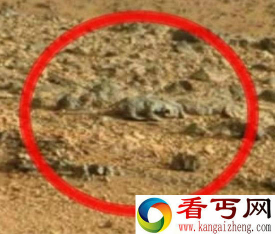 NASA证实 火星上确实有生物的存在
