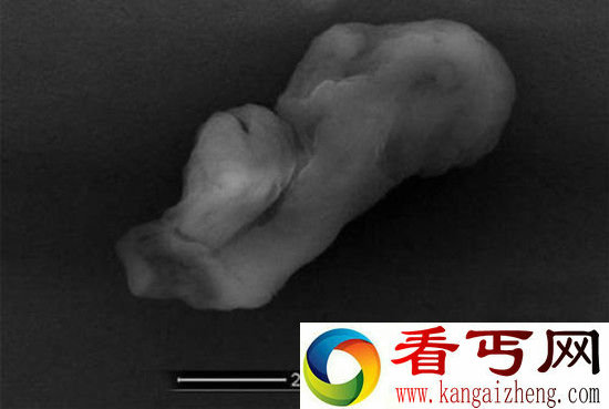 美国51区公布惊天消息外星人现身形似人类胎儿