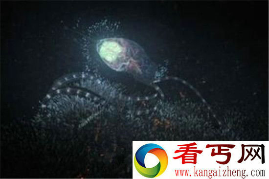 火星上外星生命神秘消失 竟是因为它?