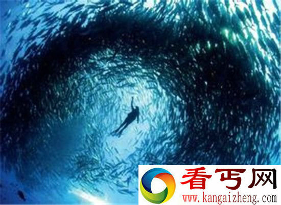 彗星穿越虫洞撞地球 6500万年前恐龙灭绝！