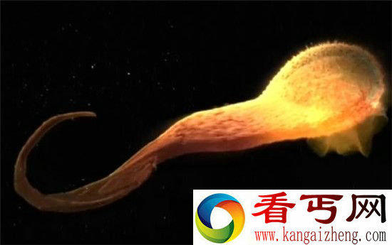 NASA曝光太阳系惊天秘密 黑洞竟要吞噬太阳?