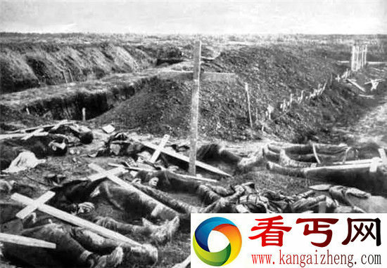 一战中那些获得勋章的动物 他们拯救了无数人