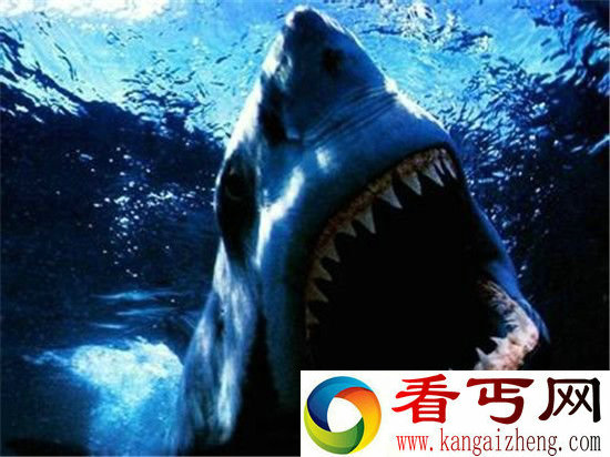 动物的十种特异功能 你可能只知道蛇跟蝙蝠