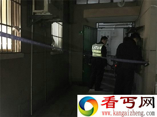 “大头”男子居民楼每天杀猫杀狗 现场惨不忍睹
