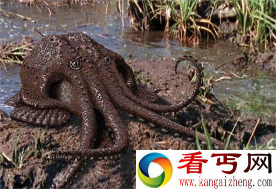 一亿年后地球新物种 沼泽章鱼的出现