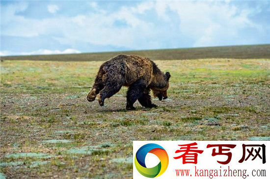 没有西藏世界将会怎样西藏为什么如此迷人？　　