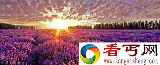 盘点全世界十大最美赏花地 感受令人窒息的美