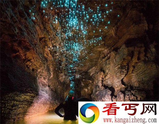 新西兰美景萤火虫洞 神似鬼吹灯之精绝古城中火瓢虫