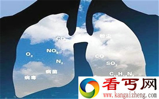 网传80个PM2,5微粒可堵住一个肺泡 肺真的会被雾霾“堵死”吗?