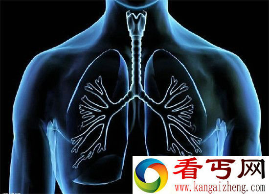 网传80个PM2,5微粒可堵住一个肺泡 肺真的会被雾霾“堵死”吗?