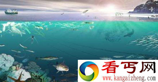 升温会破坏海洋生态 人为升温将加剧！