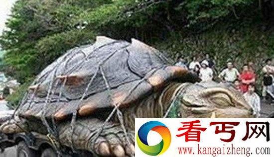 神兽霸下驮棺 曹操墓竟是会移动的千年古墓