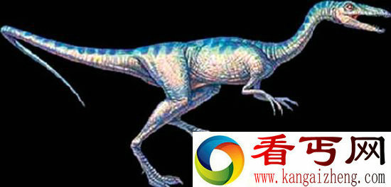四川发现世界上最小恐龙足迹 奔跑速度似摩托