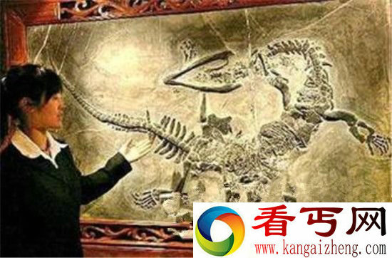 辽宁营口坠龙事件真相曝光 震惊世界!