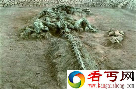 辽宁营口坠龙事件真相曝光 震惊世界!