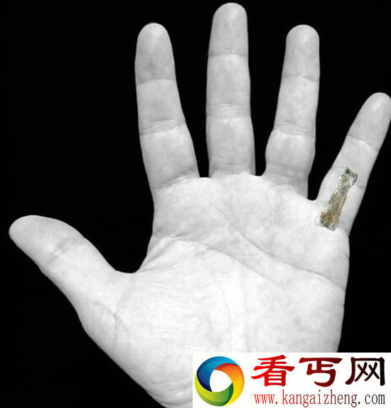 最早现代人手指骨头 184万年前骨头化石发现