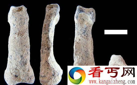最早现代人手指骨头 184万年前骨头化石发现