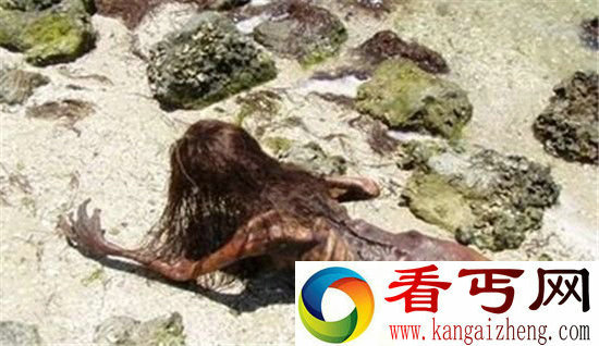 男子无意间发现3000年美人鱼化石 震惊世界!