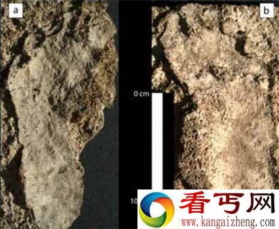 墨西哥惊现北美洲最古人类脚印 是印第安人留下？
