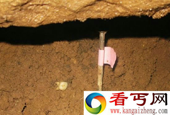 中国现17.8万年前牙齿化石 证明人类起源