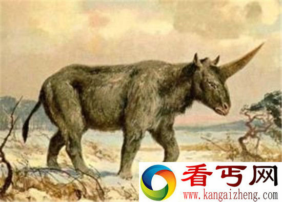古生物学家发现2.9万年前独角兽化石 震惊!