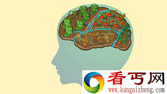 美国科学家研制奇特读脑设备帮助中风与脑瘫患者进行表达